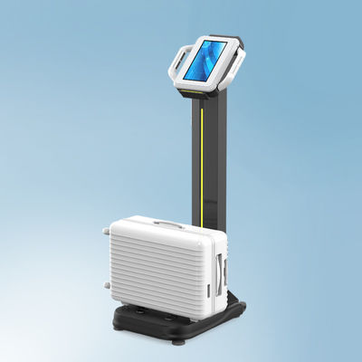 Échelle de mesure du poids des bagages de 300 kg avec affichage LED et certificat CE
