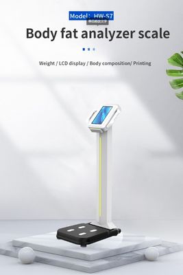 Conception de la machine numérique d'analyseur de graisse corporelle pour la mesure du poids et de la composition corporelle 2023
