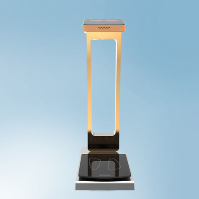 Exigences du client 300 kg de capacité Balance de bagages à pièces en acier pour OEM/ODM