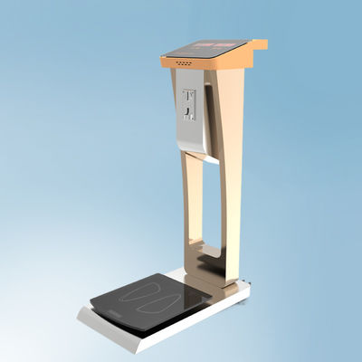 Balance de bagages de 300 kg avec pesage humain et pesage mécanique
