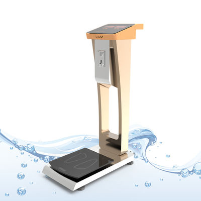 Balance numérique de poids de gymnase Machine de pesée humaine à pièce avec support personnalisé