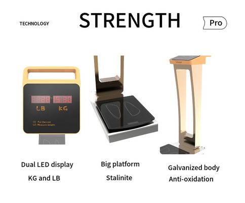 Balance numérique de poids de gymnase Machine de pesée humaine à pièce avec support personnalisé