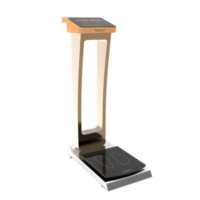 36*75*110cm Taille générale en position debout Échelle de poids du corps médical adulte avec une précision de 0,1 kg