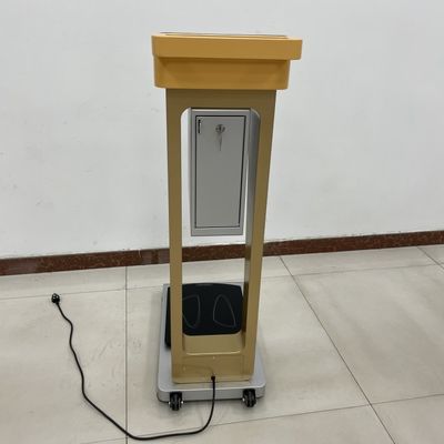 Échelle de poids de pièce pour le corps humain précis et les bagages à bagages pesant 300 kg de charge nominale