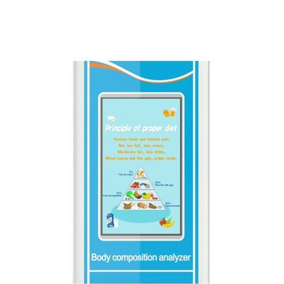 Échelle de hauteur de gym certifiée CE ISO9001 avec analyseur d'indice de poids et de masse corporelle