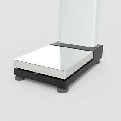 Support OBM personnalisé Hauteur et poids Vendeuse de pièces d'argent Balance de l'IMC