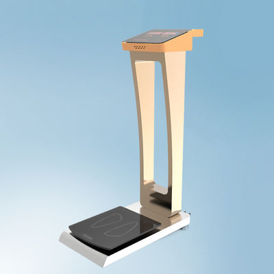 Balance de bagages pour un pesage facile dans les hôtels de l'aéroport Taille totale 33*55*100 cm Poids corporel 35 kg