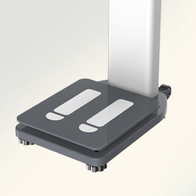 Échelle numérique humaine certifiée CE ISO9001 pour la mesure de la taille et de l'IMC